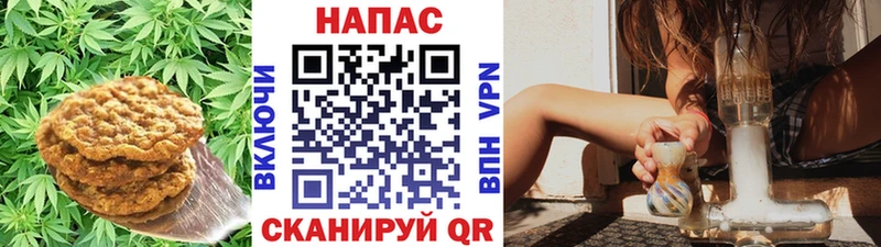 что такое   Осташков  блэк спрут маркетплейс  Cannafood конопля 